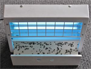 No Zap Fly Traps- Indoor Fly Control in Grocery Stores- No Zap Fly Trap  NZ3000.
